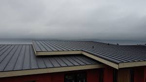 Best Storm Damage Roof Repair  in Goodlettsville, TN